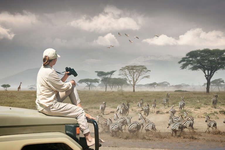 Tanzania Safaris