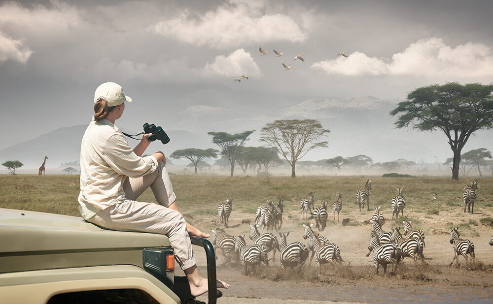 Tanzania Safaris