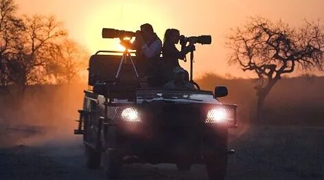 Night Game drive