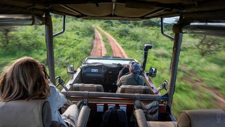 Sopai African Safaris