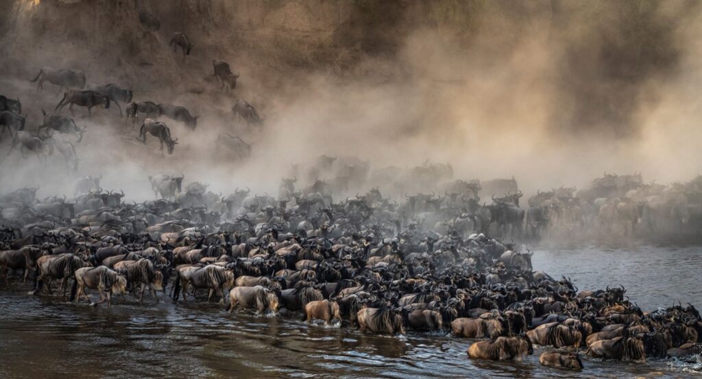 Sopai African Safaris