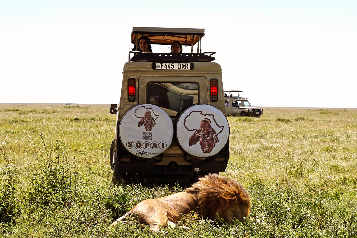 serengeti-national-park-sopai-safaris