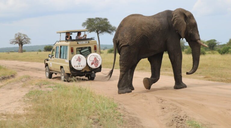 tarangire-national-park-sopai-safaris