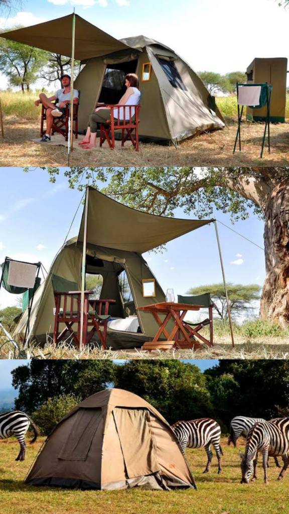 Budget-safari-Tanzania