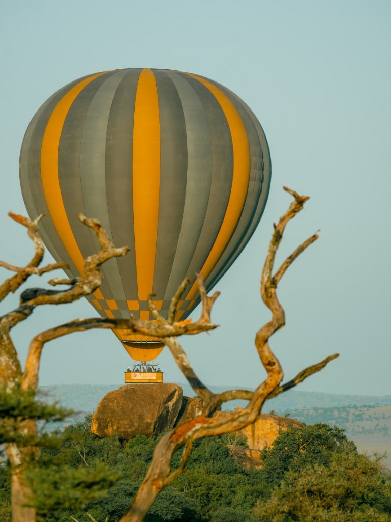 serengeti-balloon-safaris