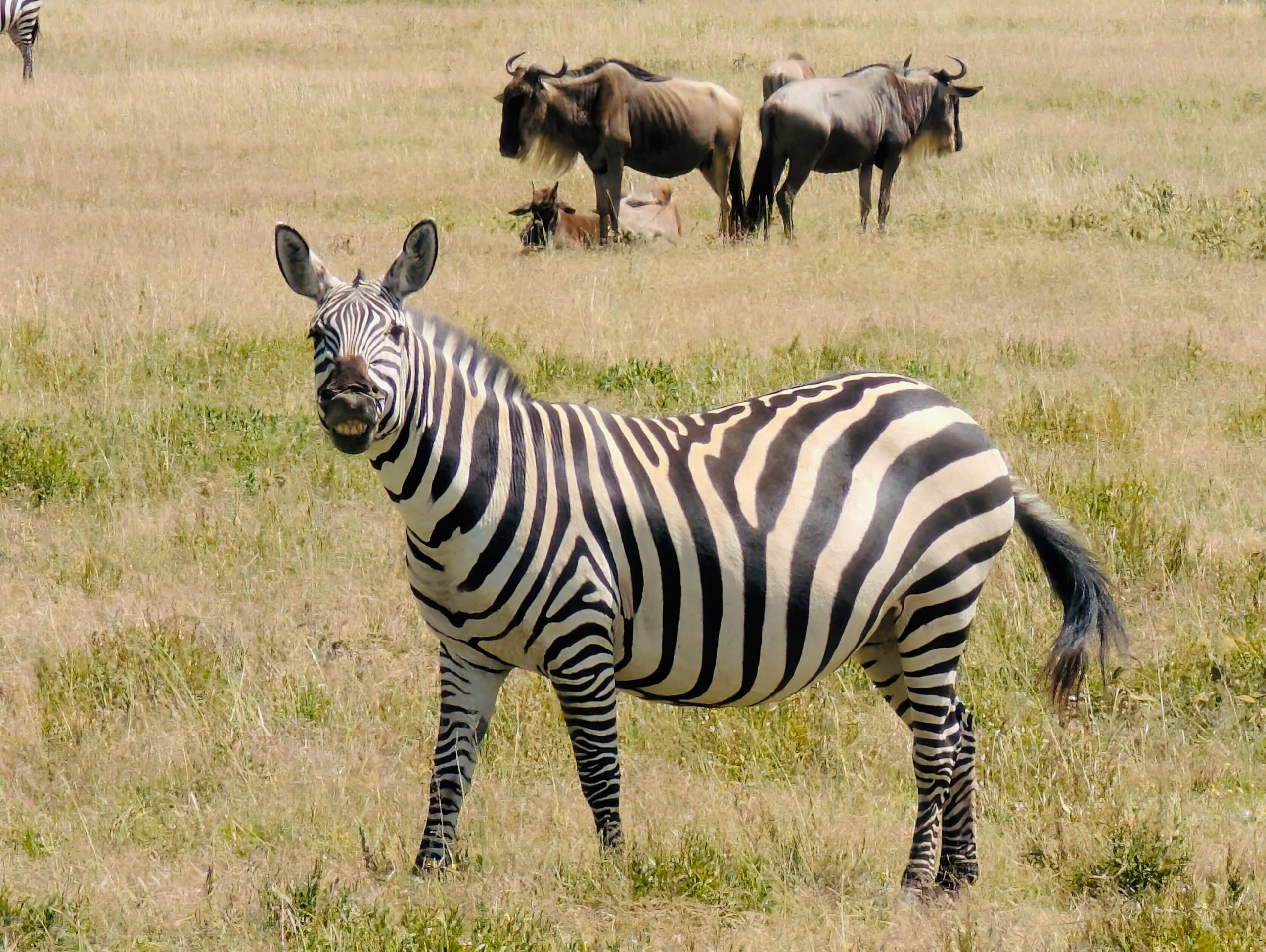 WhatsApp Image 2025-06-12 at 20.35.58_4678f36e