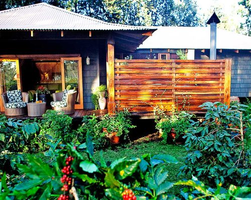Arusha Coffee Lodge