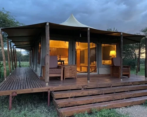 Into Wild Africa Tented Camp.