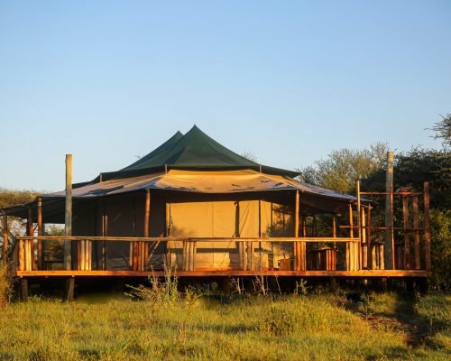 Serengeti-Sound-Of-Nature-Camp-