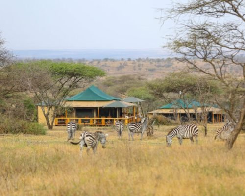 Serengeti Sound of Nature.